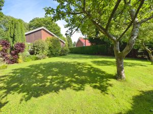 Photo 19- click for photo gallery